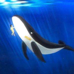 Meet your Posher, Dylan